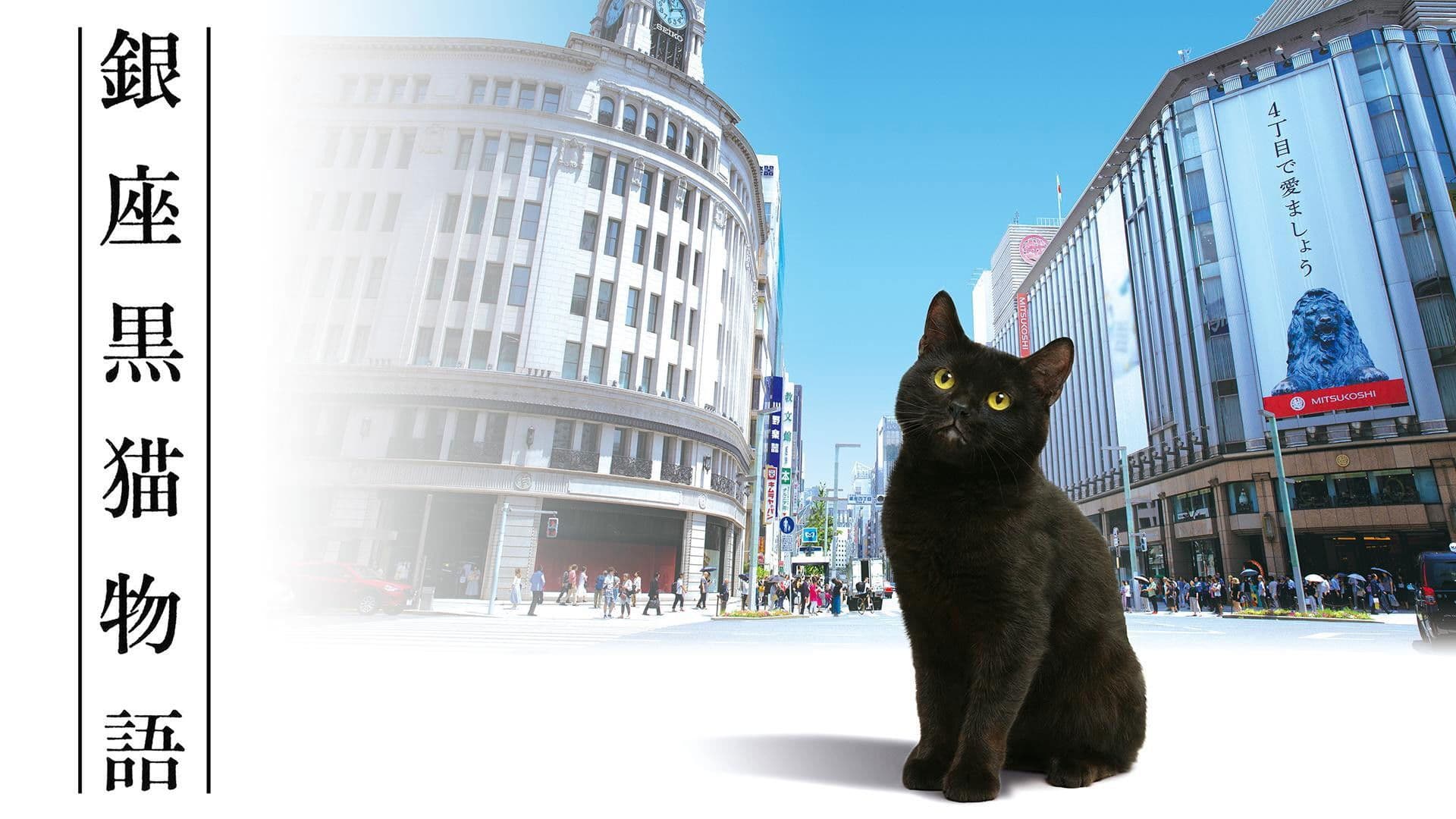 Ginza Black Cat Story