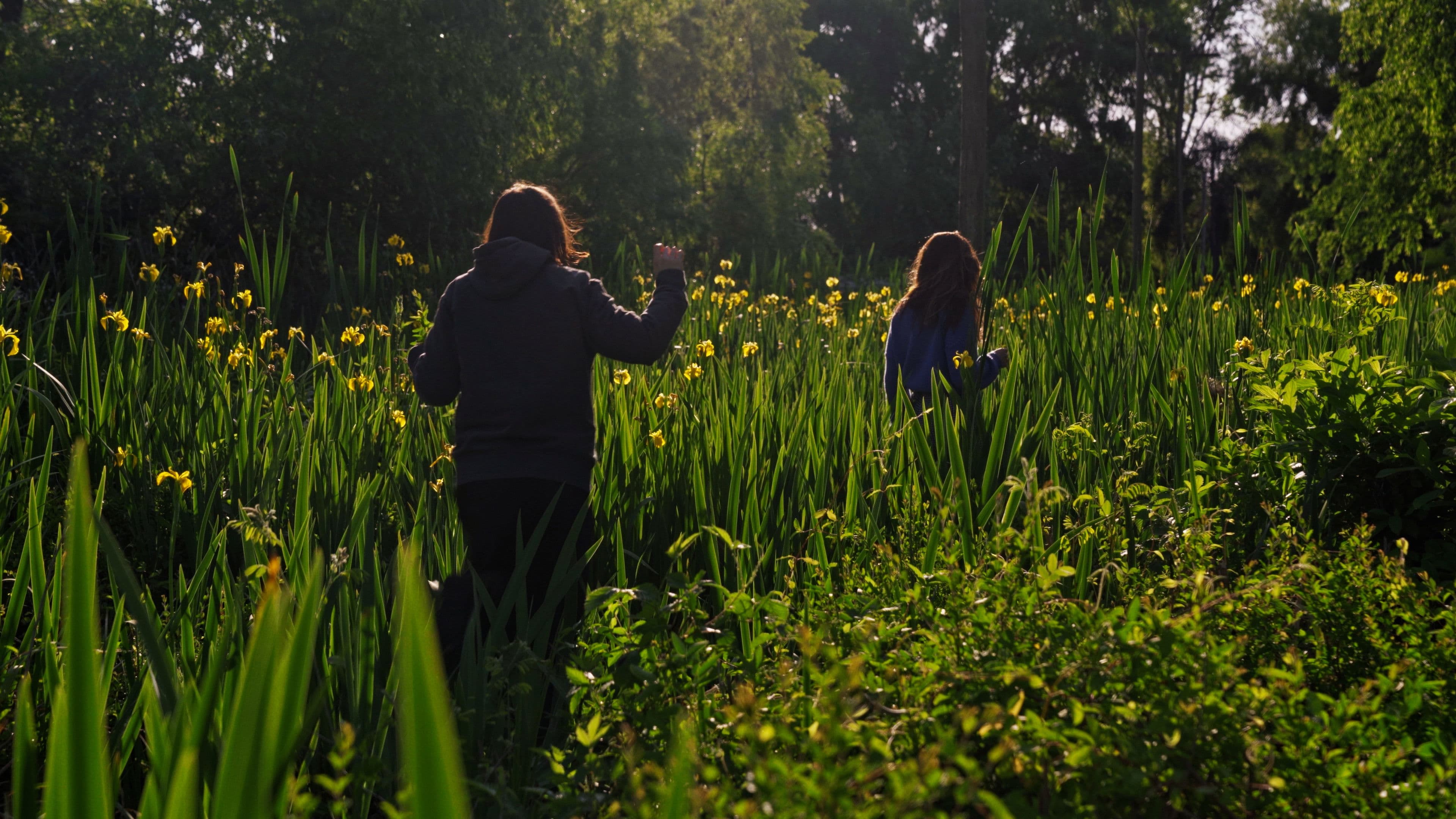 When the waters turn Magenta