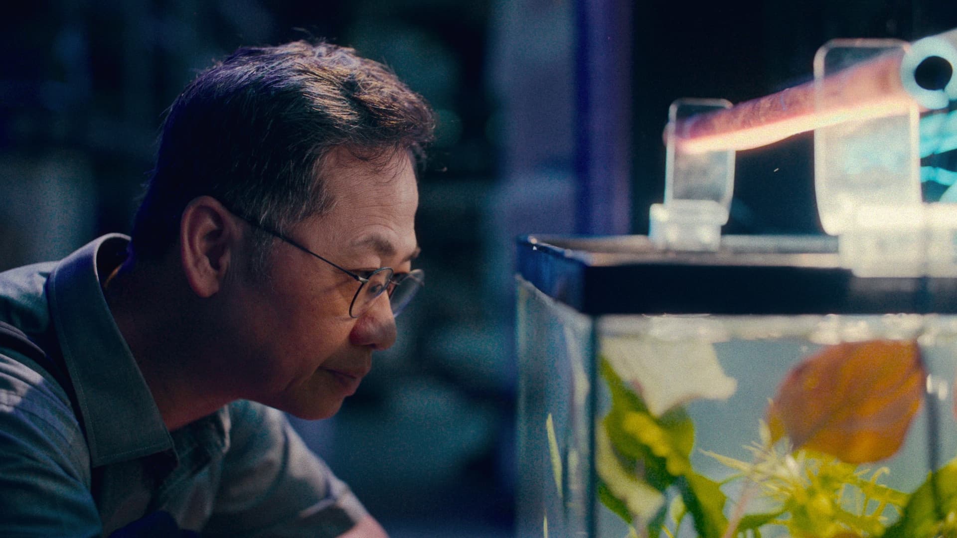 Undercurrent - 暗流