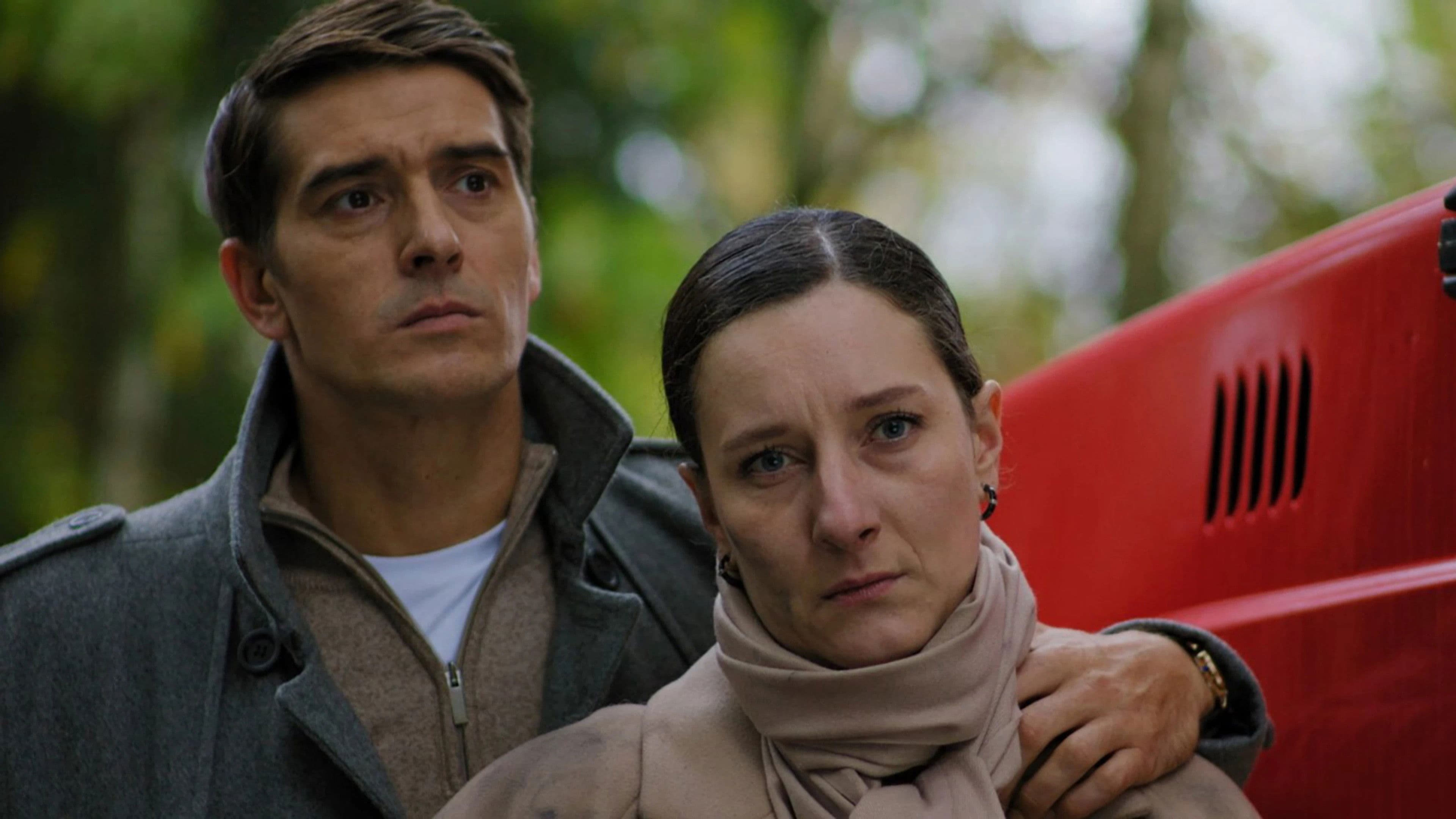 The Cleaning Lady's Method