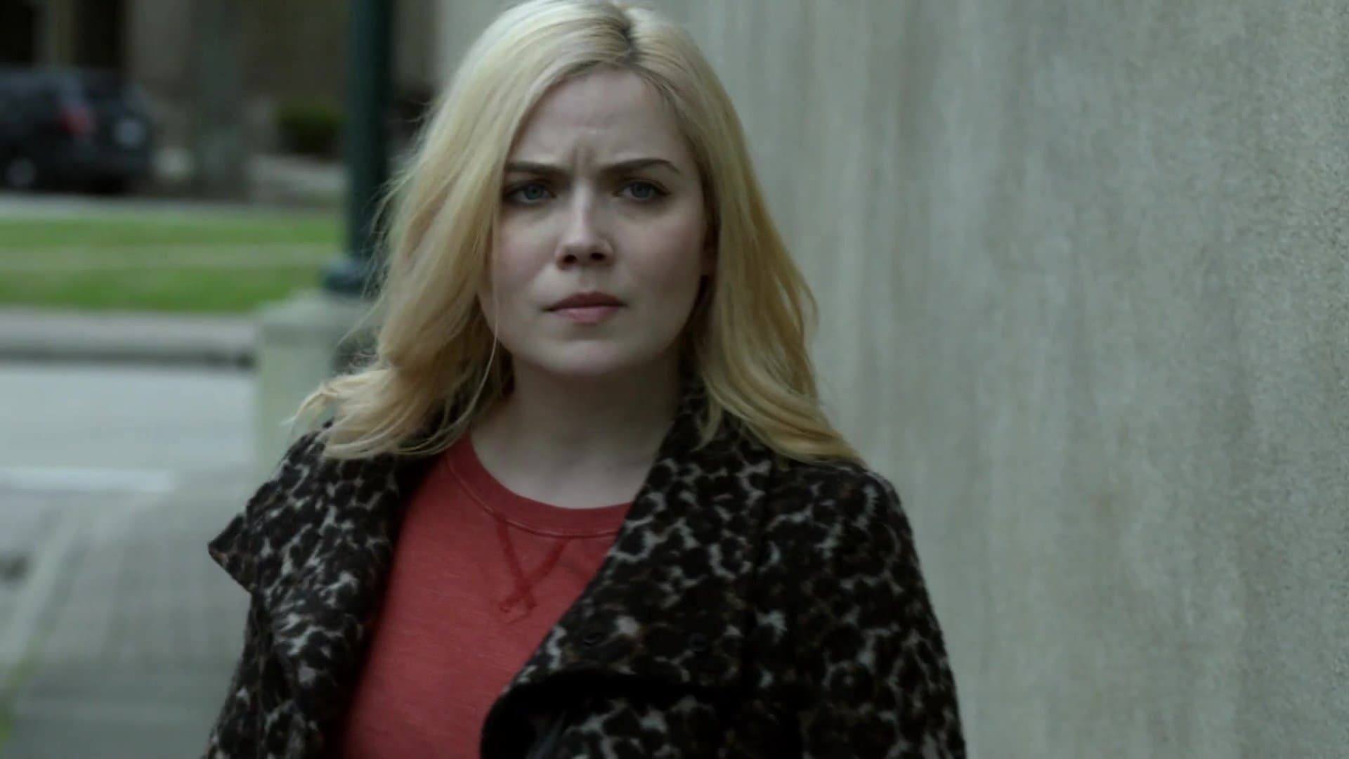 Stolen in Plain Sight