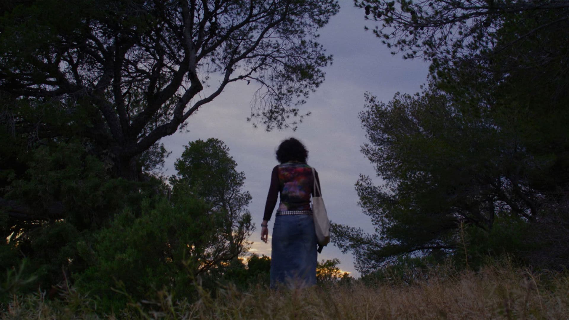 Les Grenouilles dans la Piscine