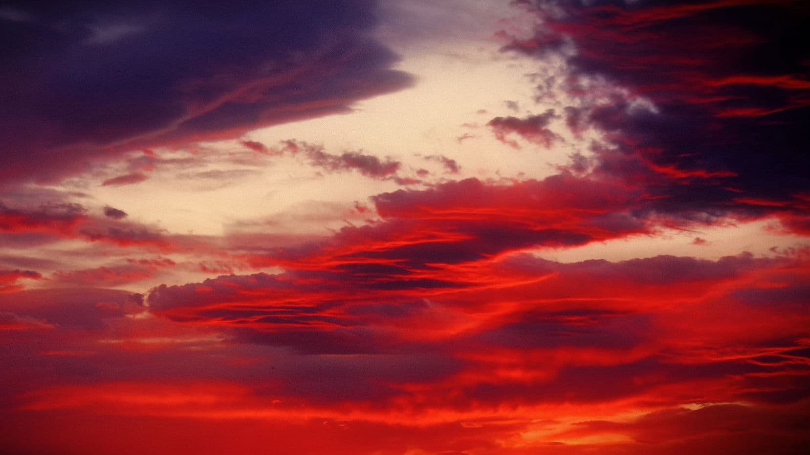 The Lonely Summer of Eleftheria