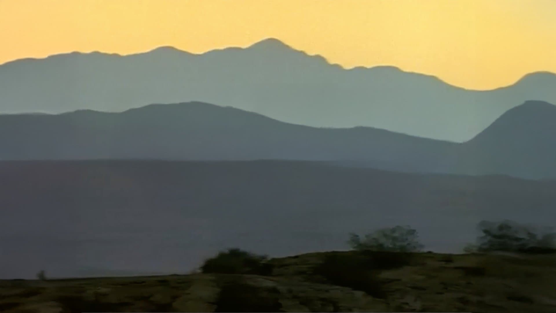 Dinosaurs Inside & Out