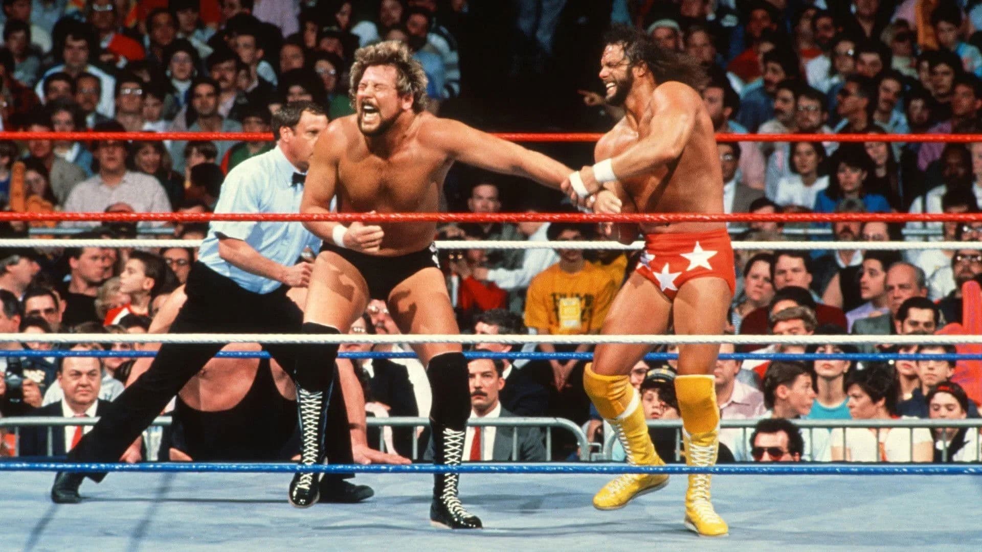 WrestleMania IV (Duplicated)