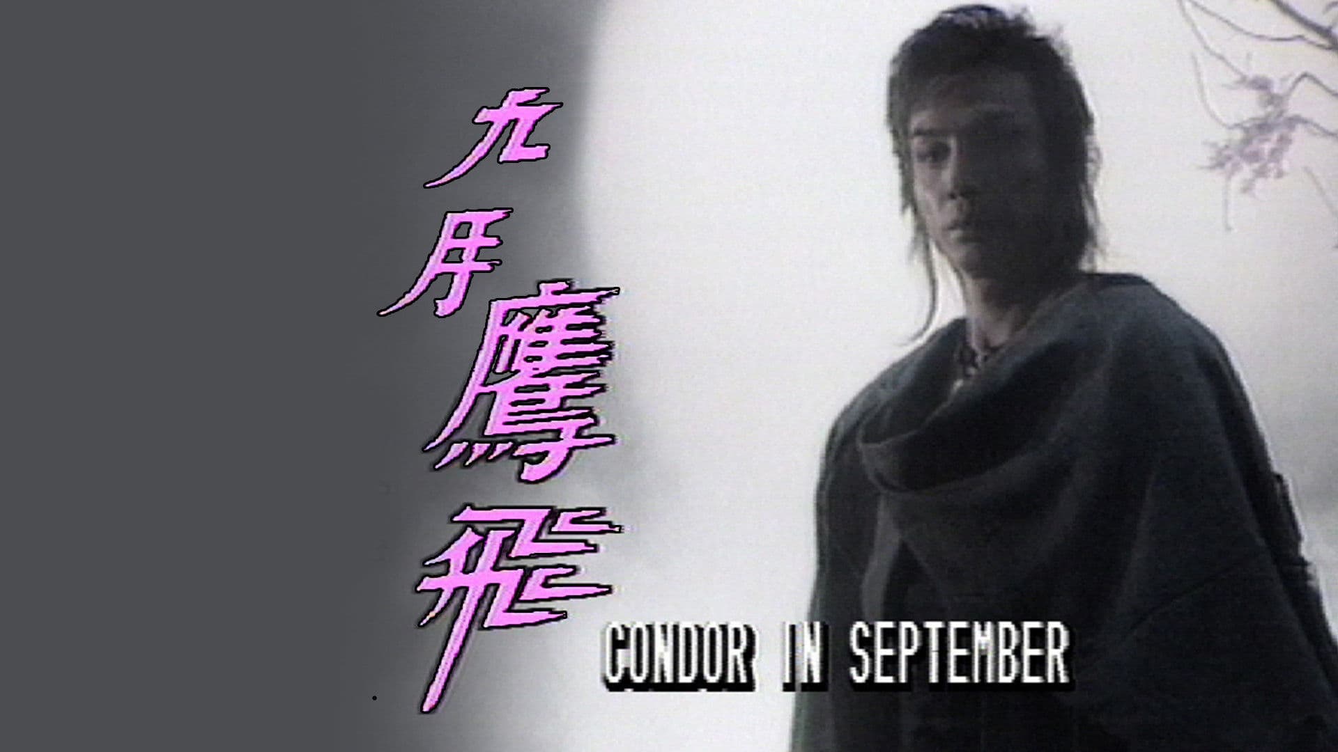 Condor In September