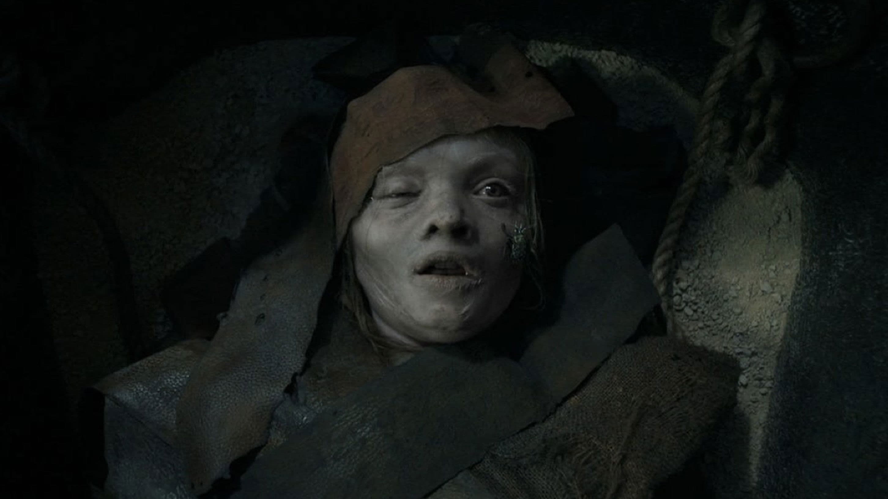 Lee Cronin's The Mummy