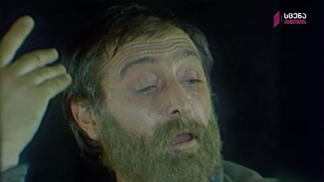 A Holiday of Solitude