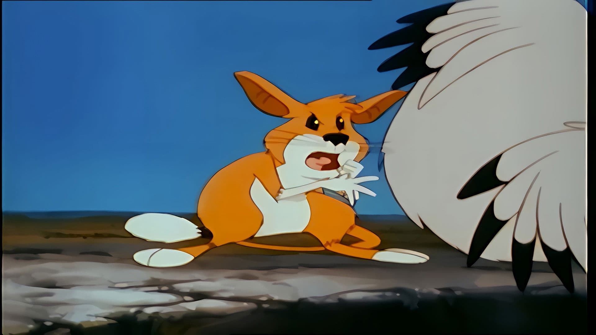 Land Of The Lavender