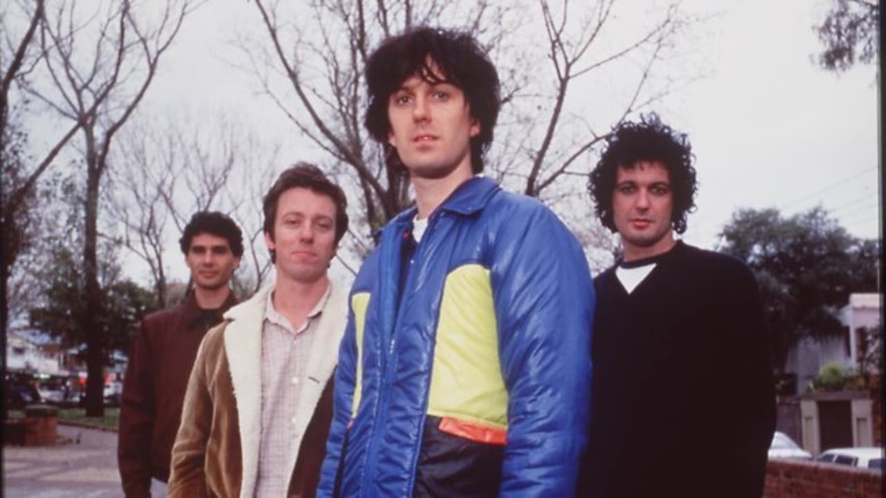 Beginner's Guide to Custard