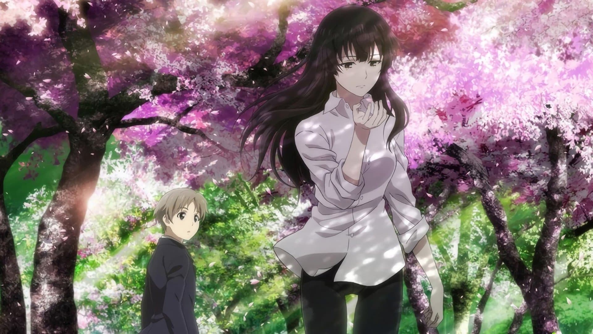Beautiful Bones: Sakurako's Investigation