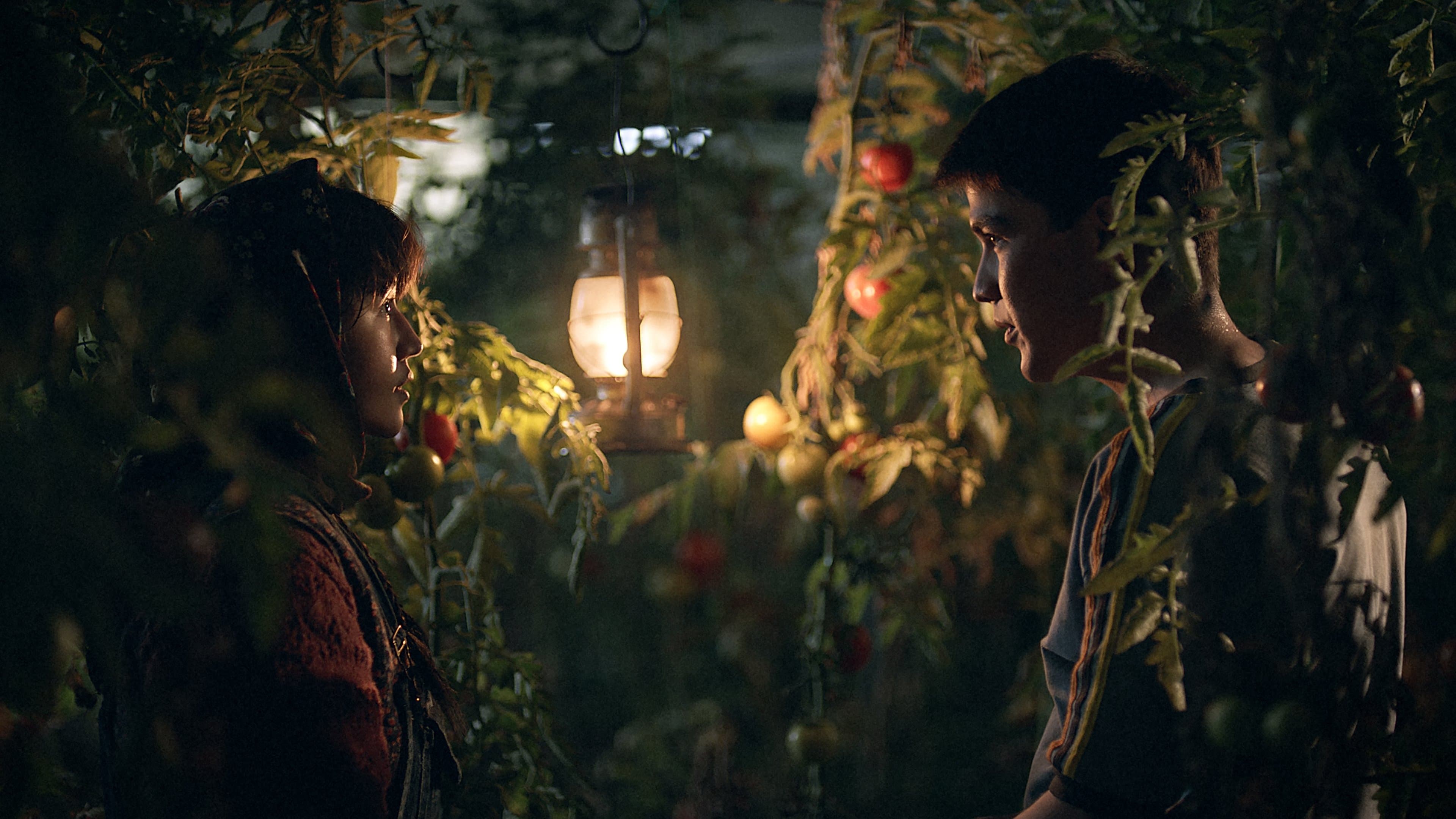 In the Land of Brothers