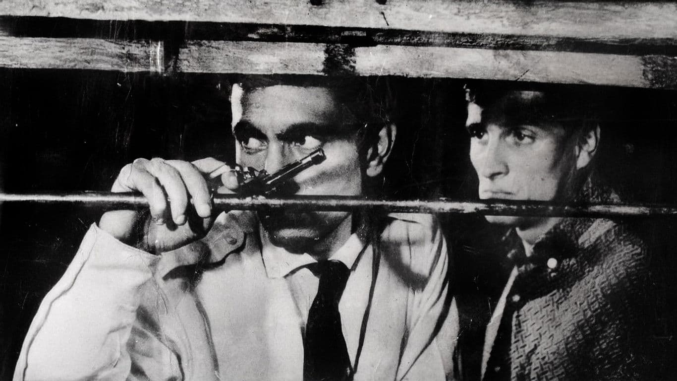 Zımba Gibi Delikanlı