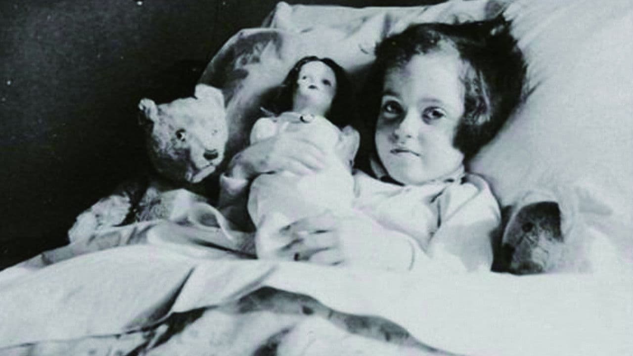 Ydessa, the Bears and etc.