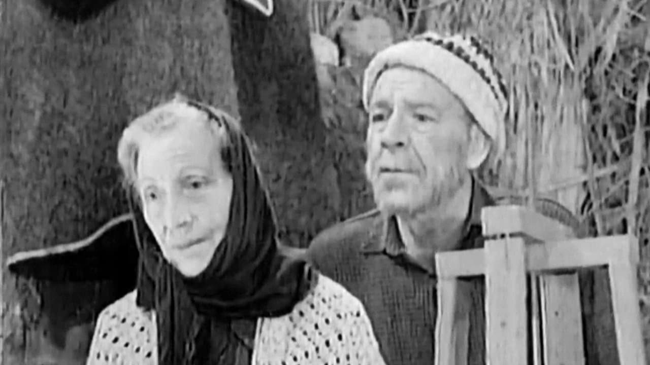 Confession of a Mother