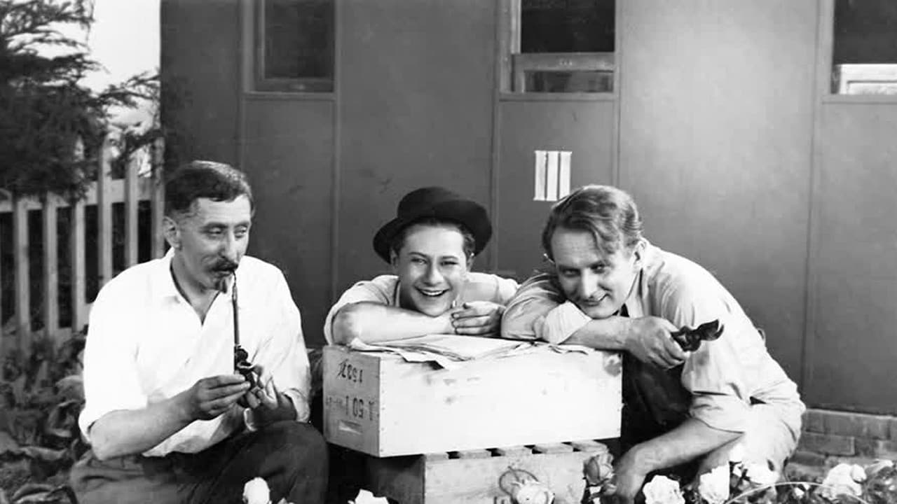 Na růžích ustláno