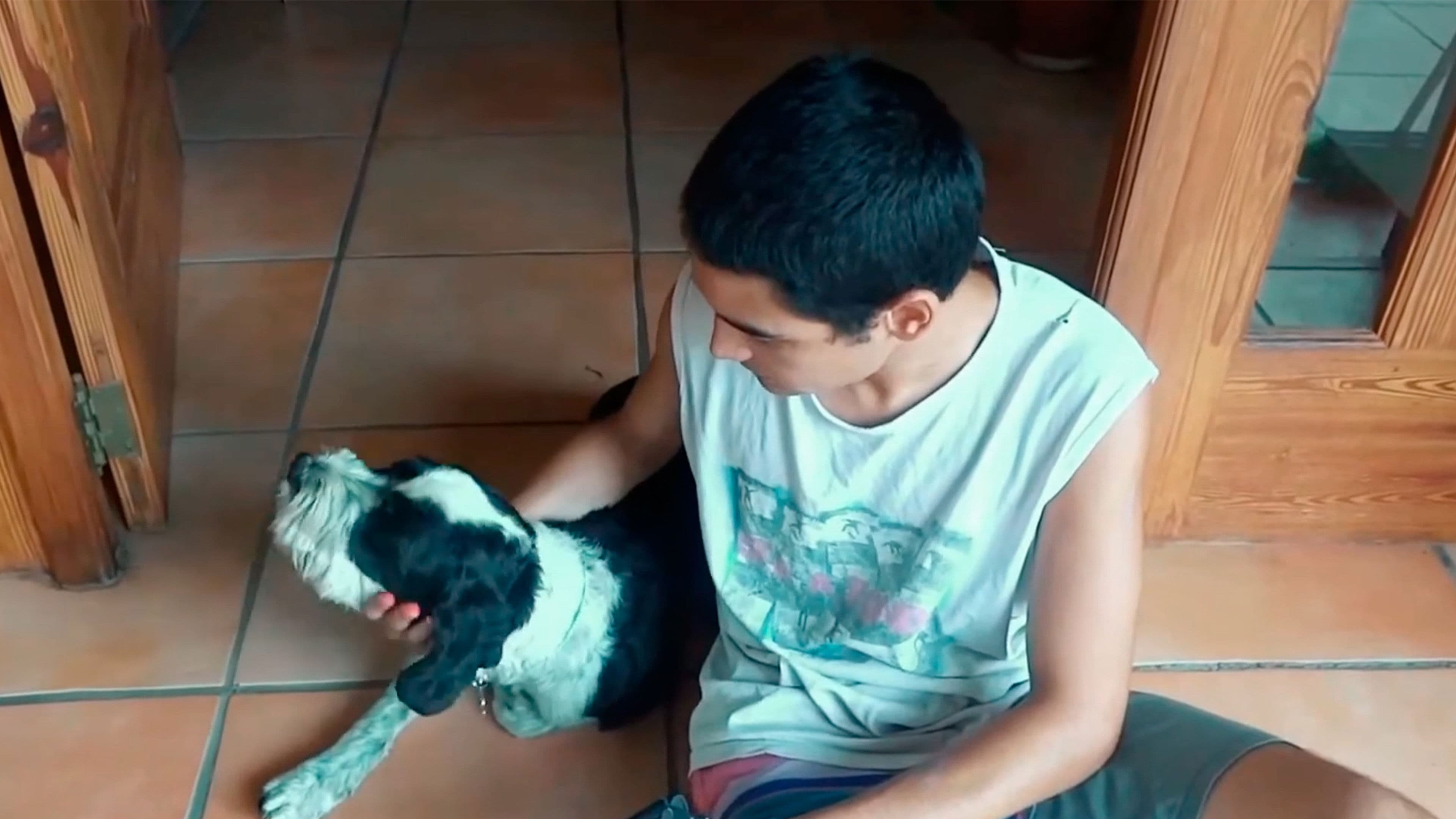 The Return of the Dead