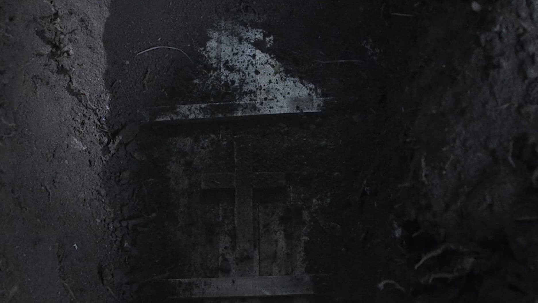 The Curse of Lady Lazarus