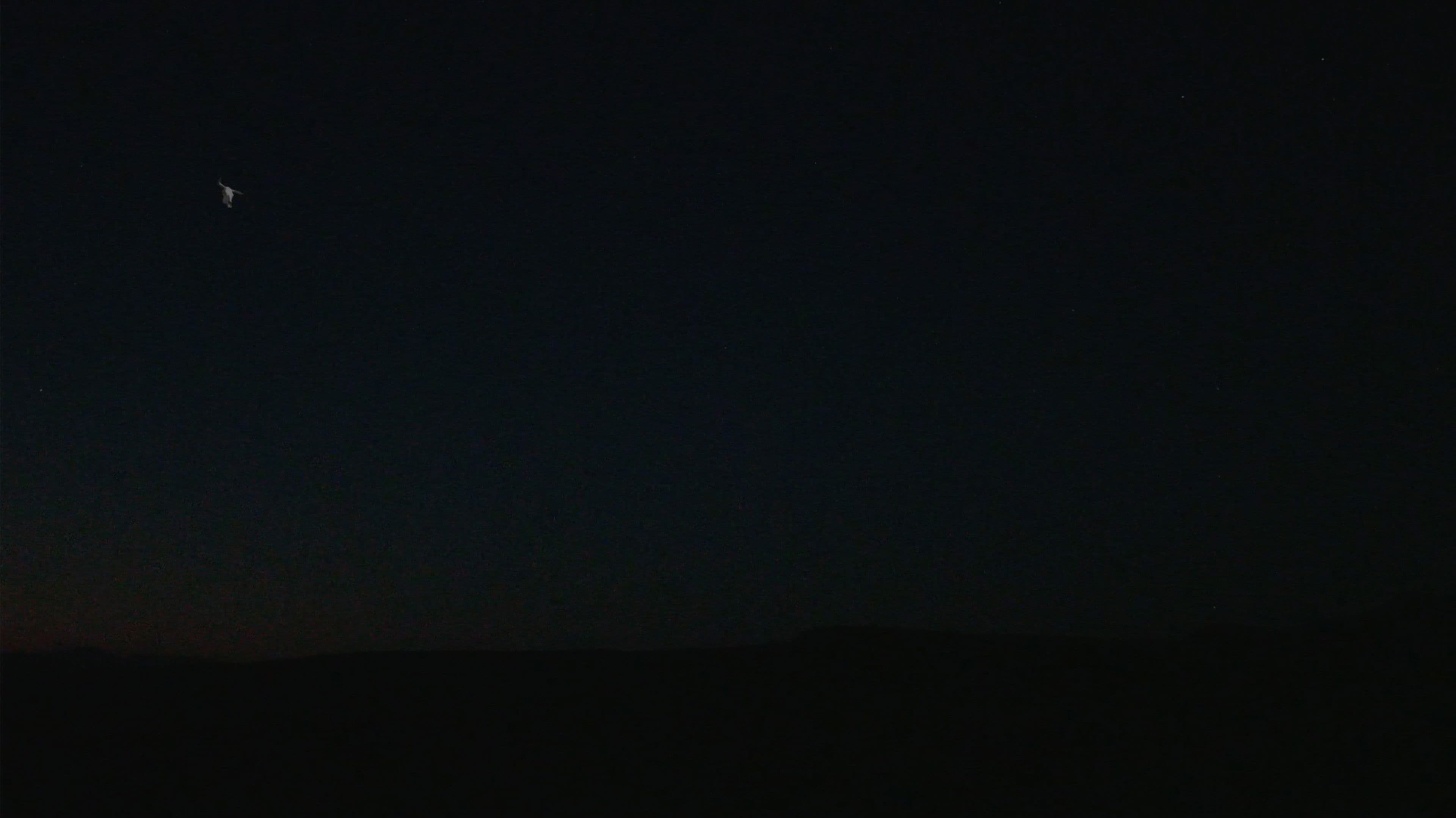 The Skull and the Arm