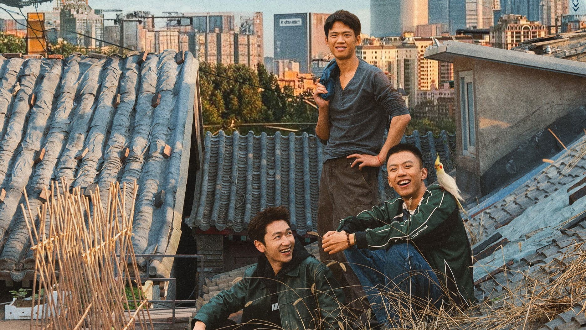 漂洋过海来送你