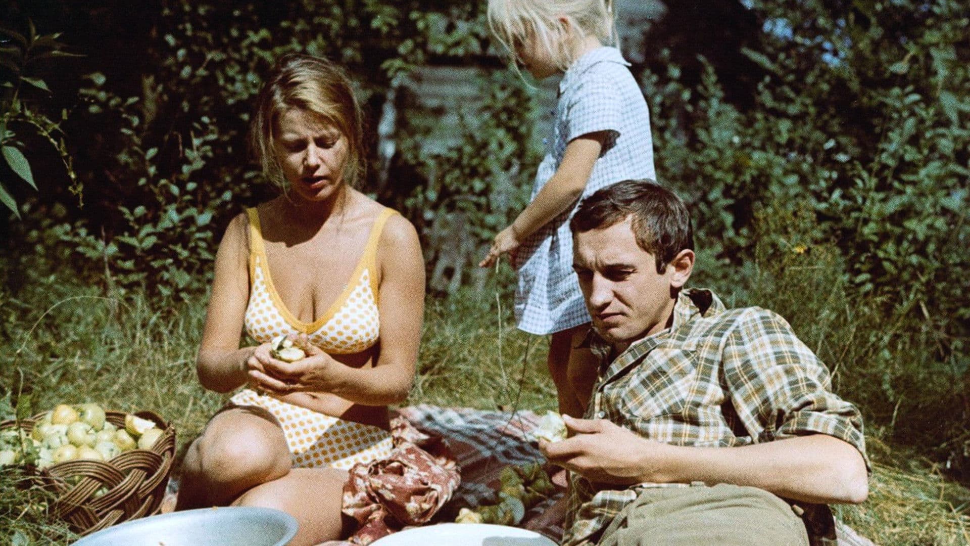 Summer Ends in Autumn