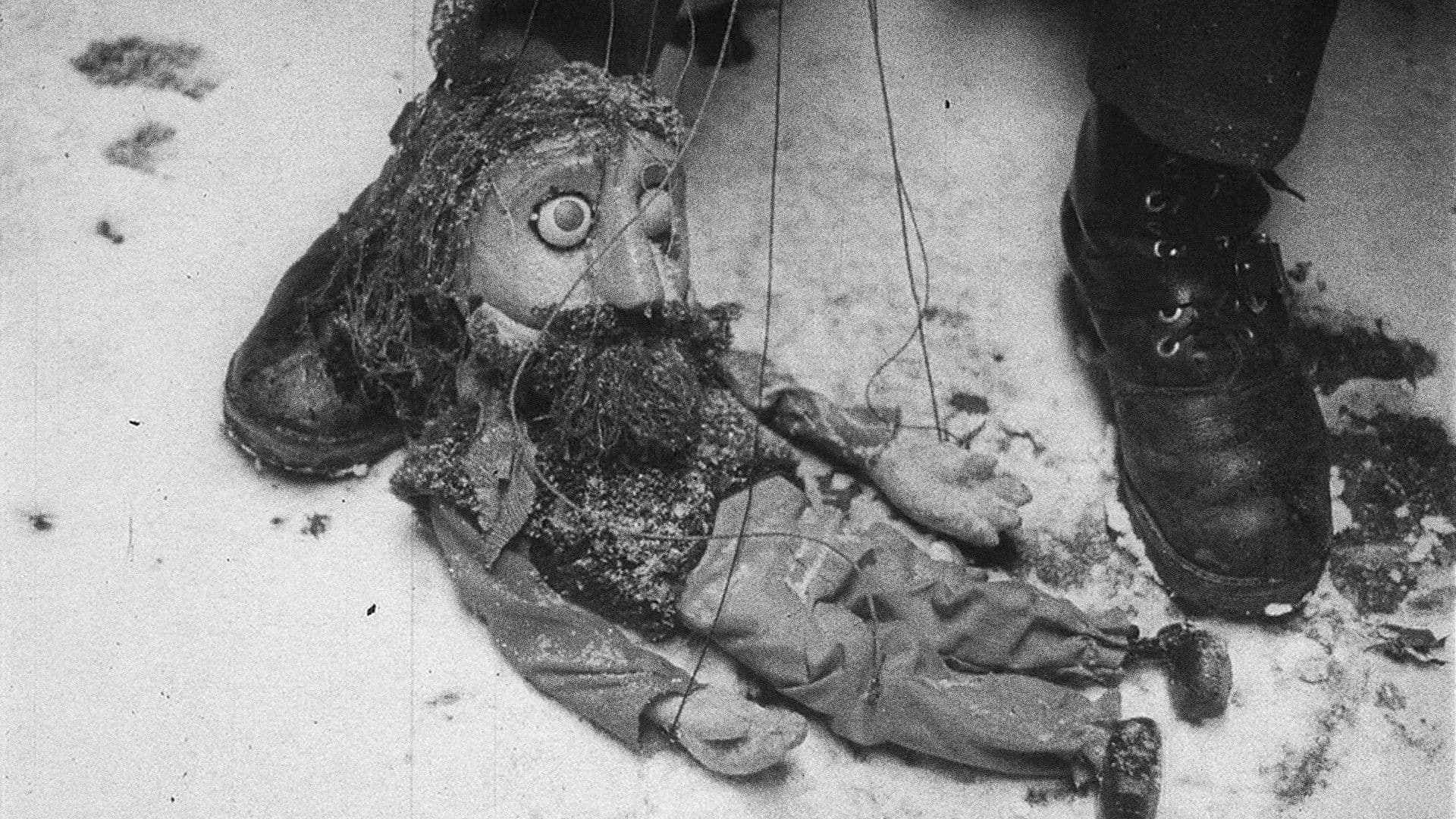 In Memory of the Day Passed By