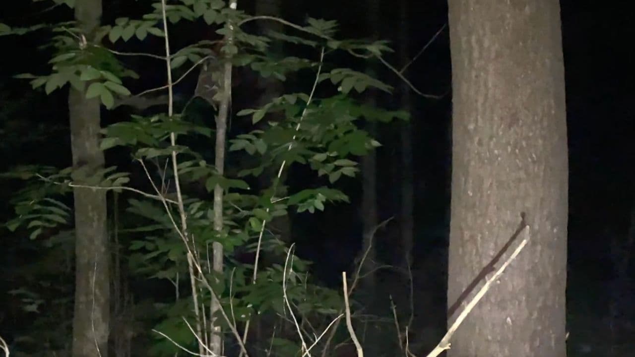 vingt deux heures vingt deux.