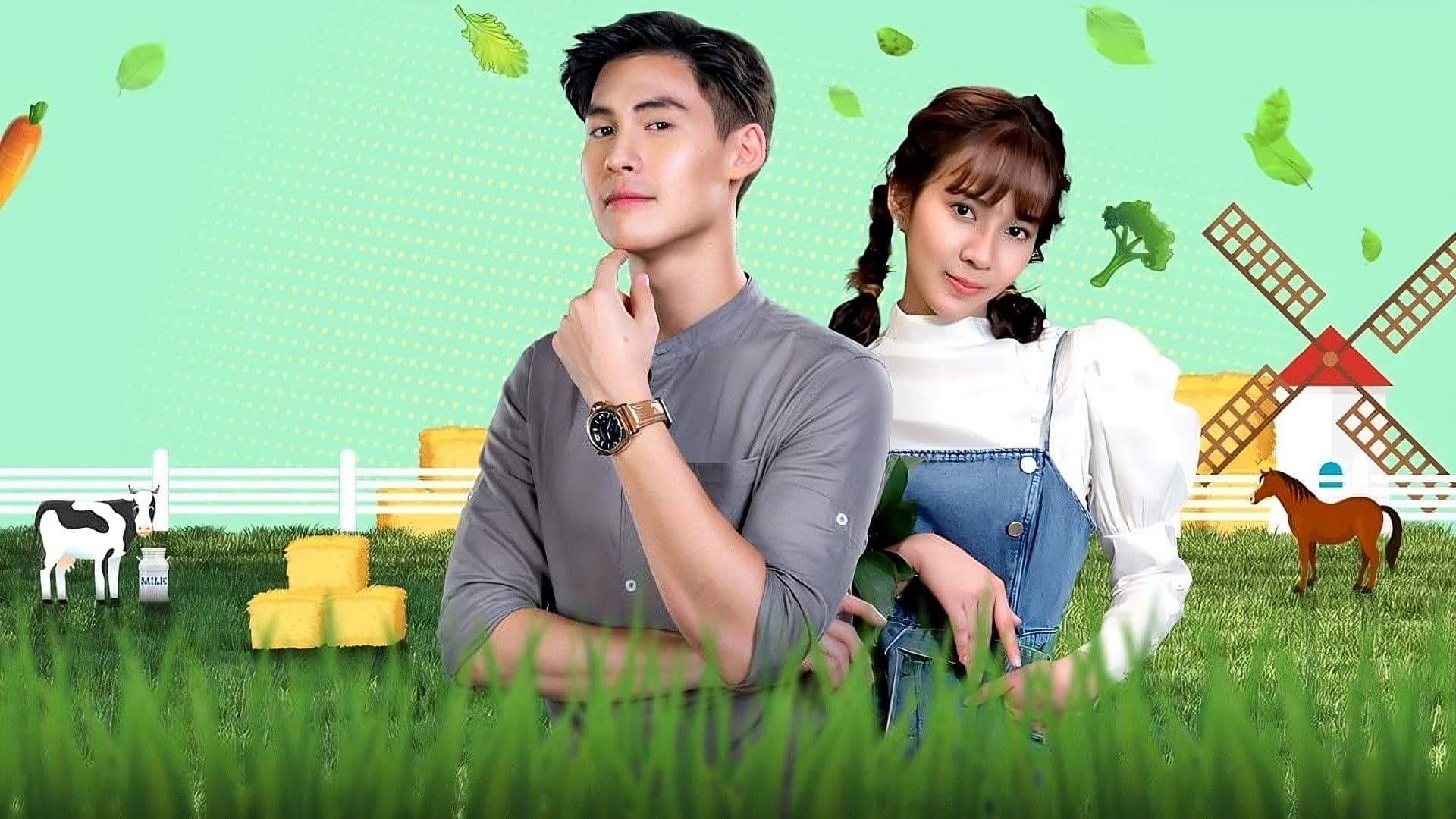 Welcome to the Farmhouse