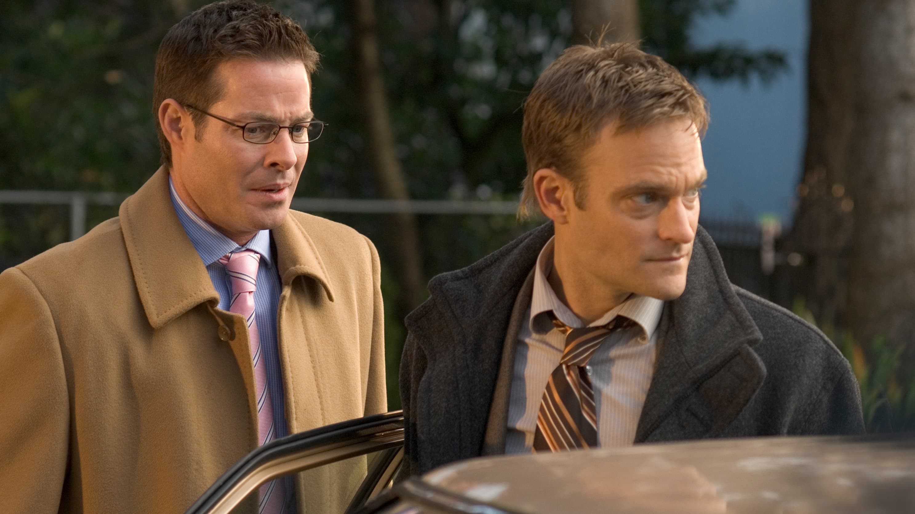 Ice Blues: A Donald Strachey Mystery