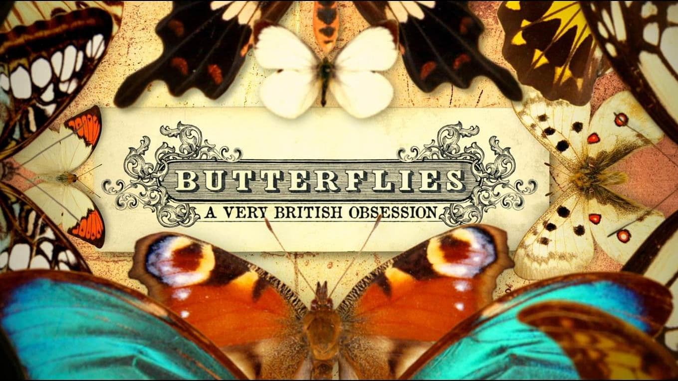 Butterflies: A Very British Obsession