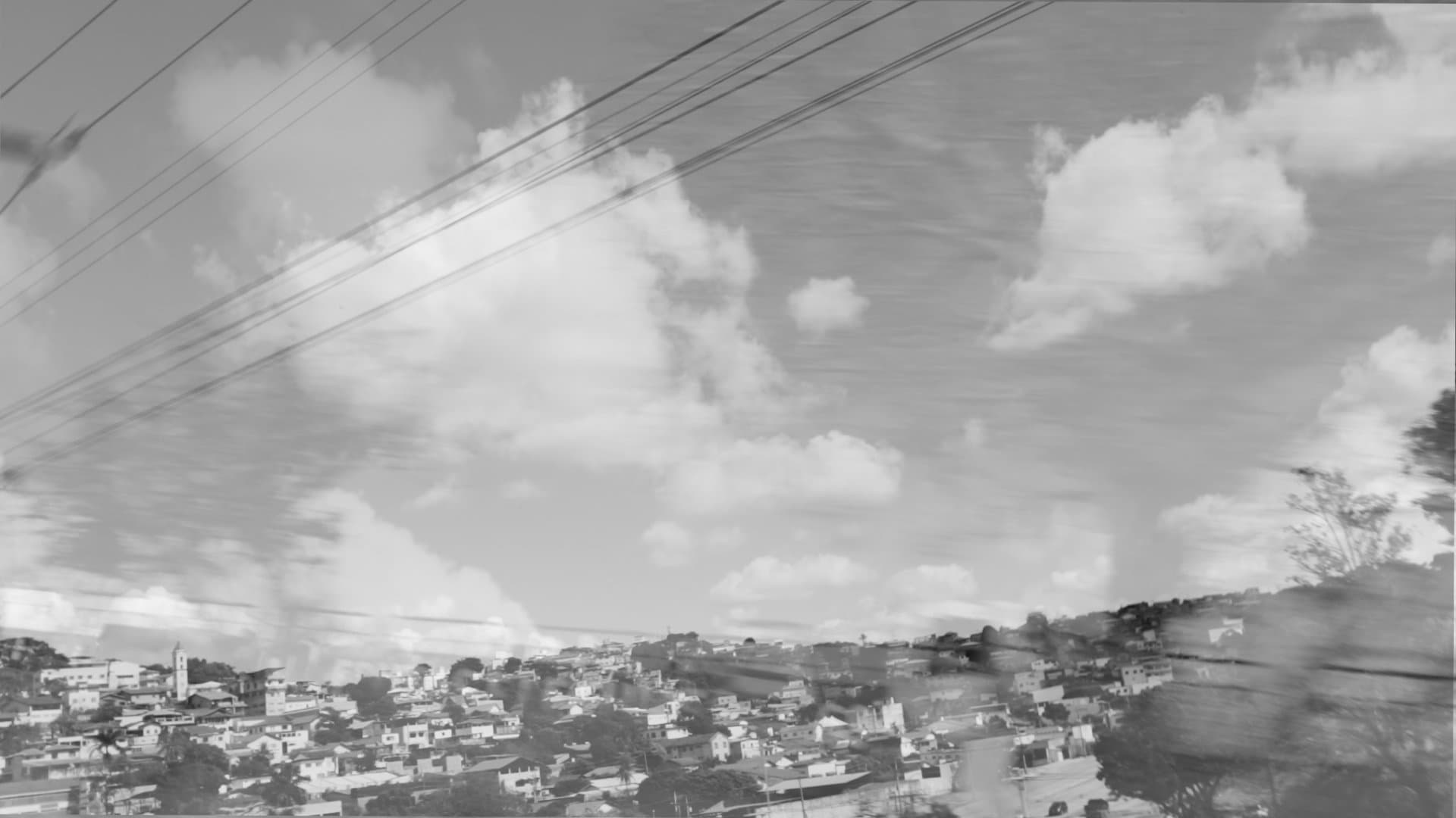 Pages of comtempt of the emperor and the birds that abandon antennas