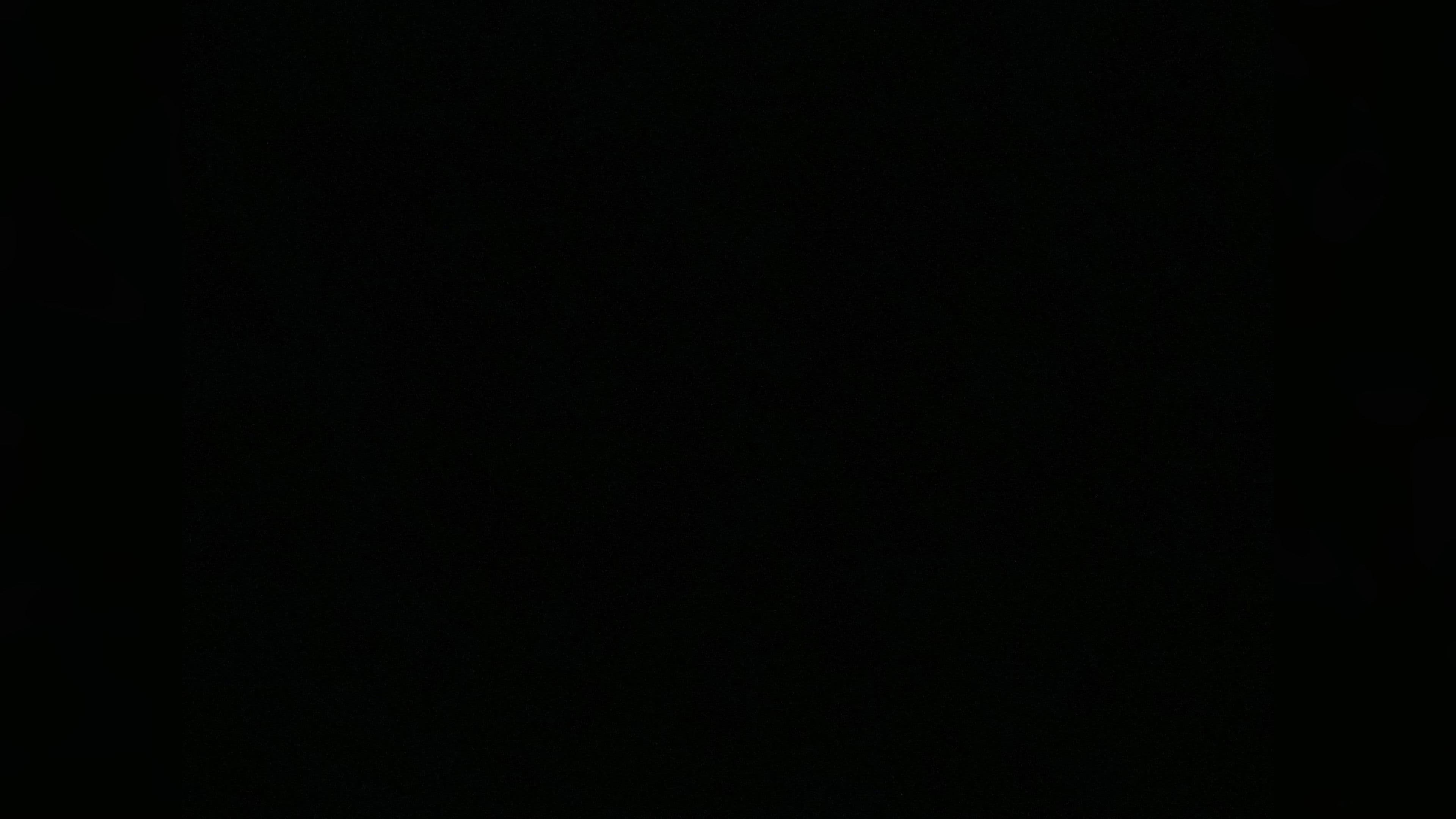 The girl beyond the gate