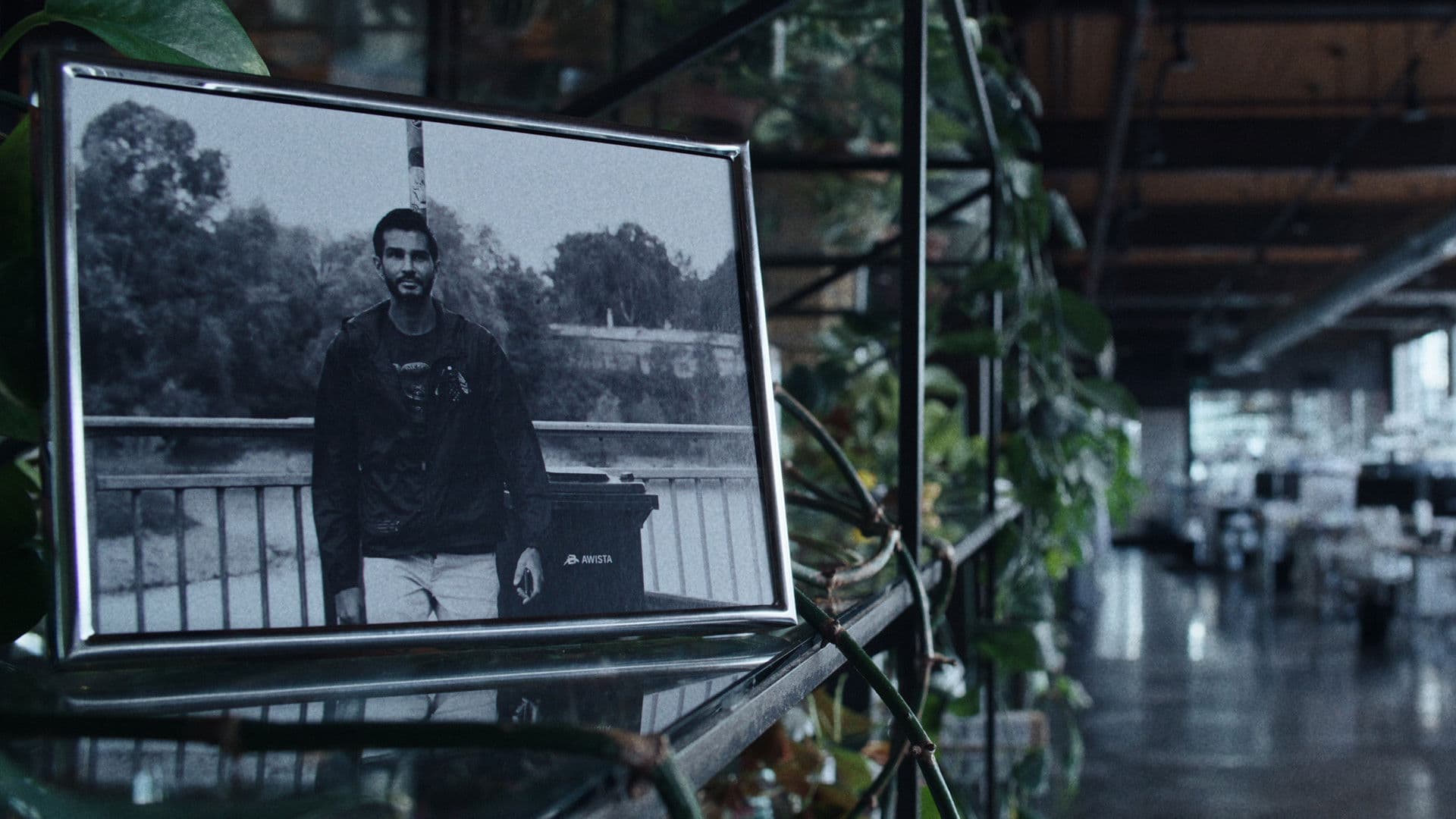 The Abnormal Beauty Company