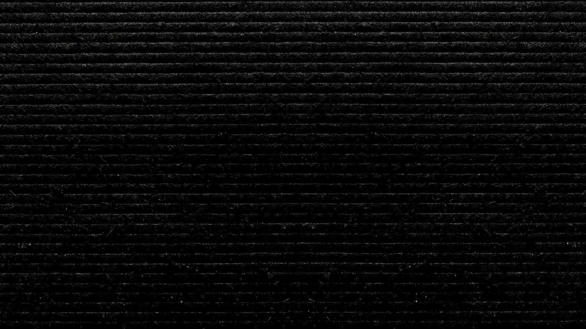 Celebrity Substitute