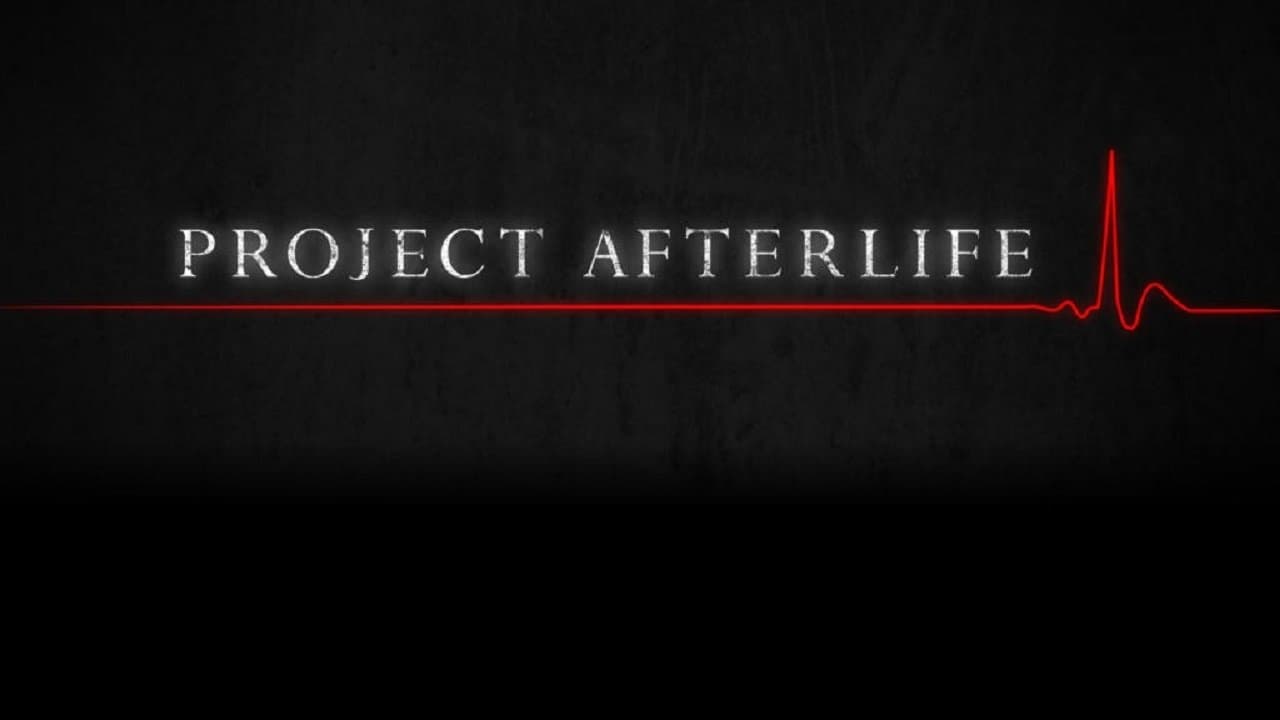 Project Afterlife
