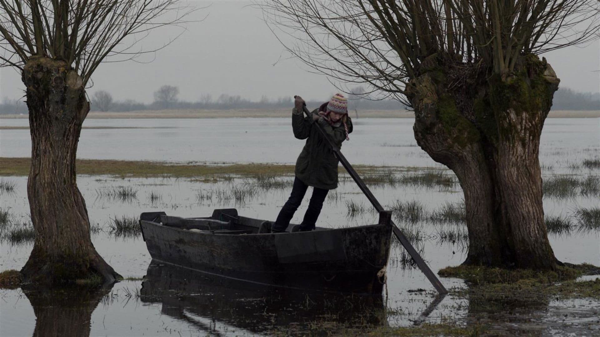 Other Side of Silence