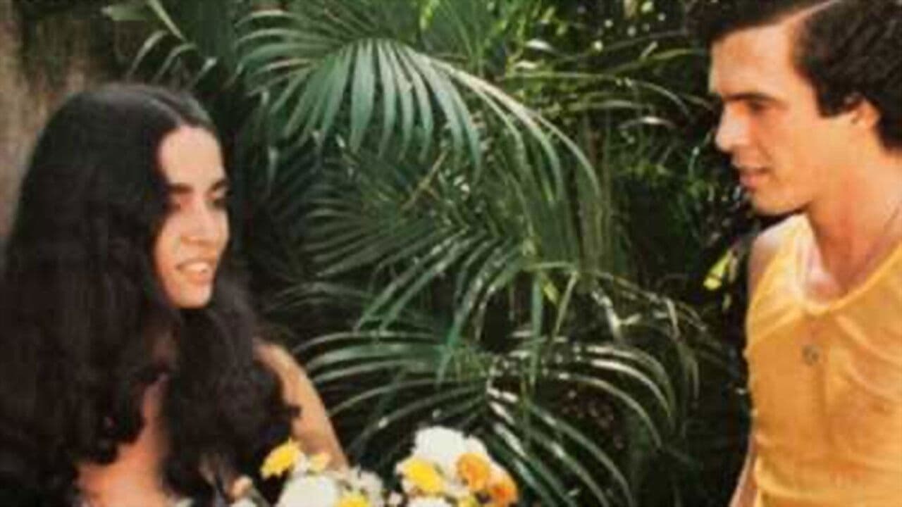 The Adventures of a Paraíba