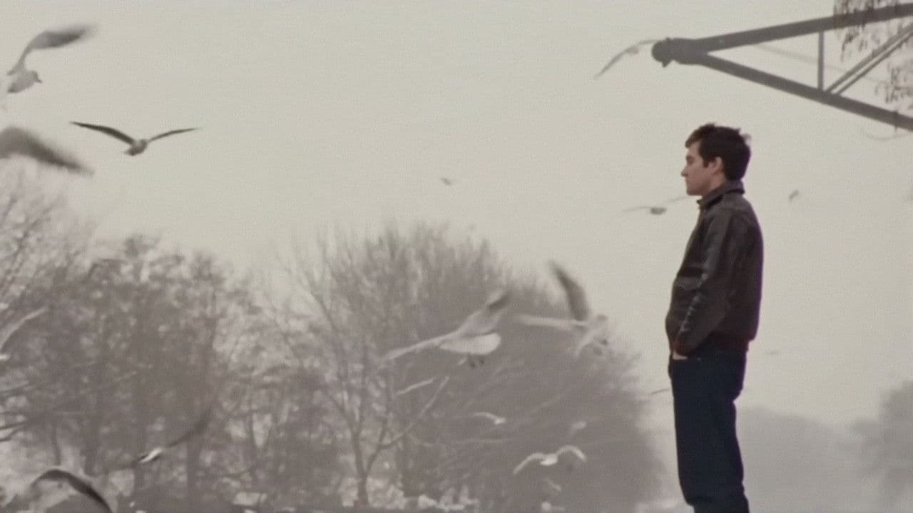 The Shoes: Time to Dance