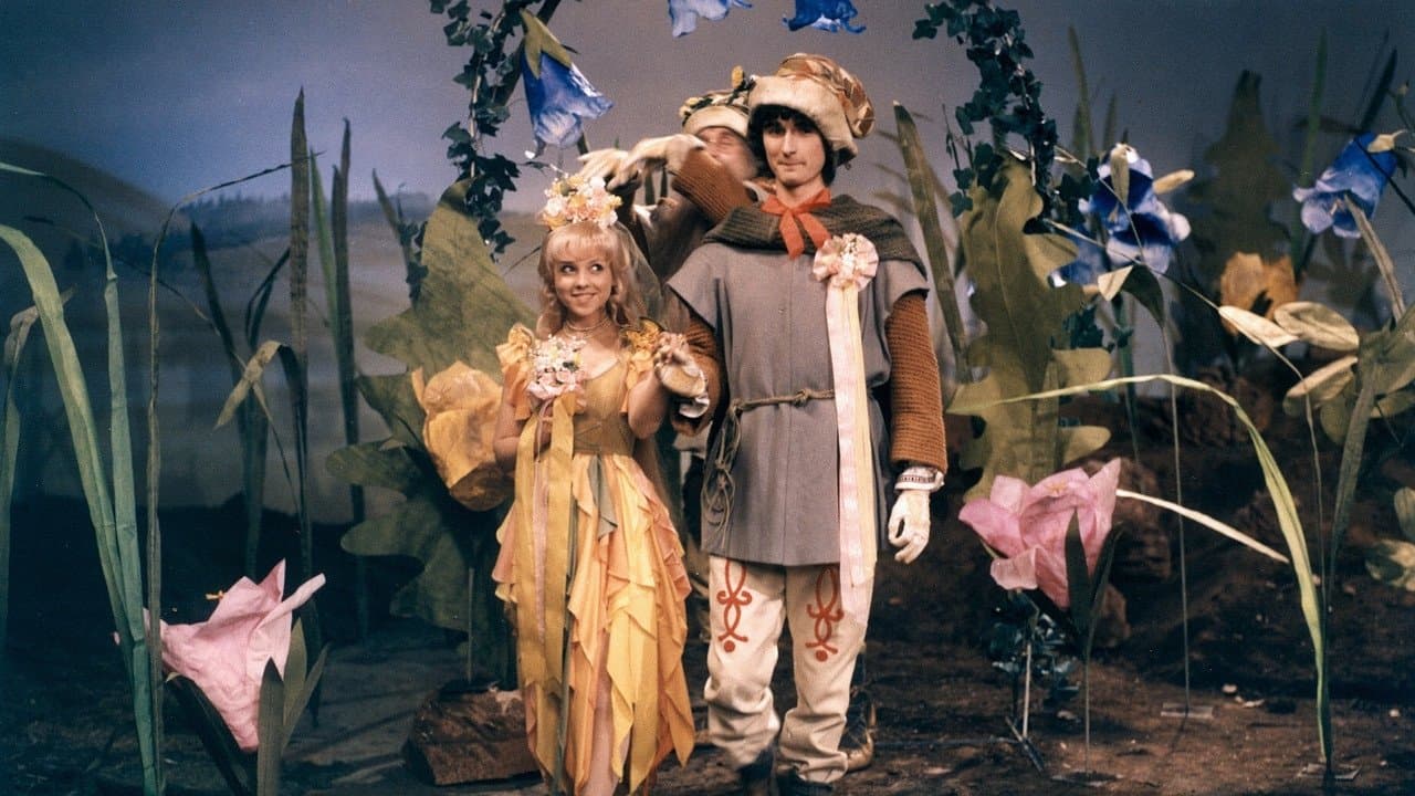 Pohádka z šafránové louky