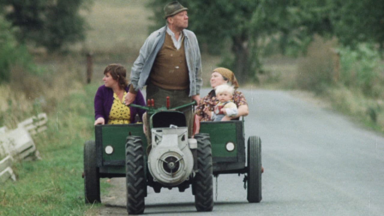 The Snowdrop Festival