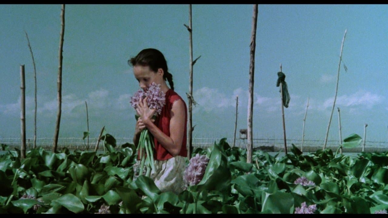 A Speck in the Water