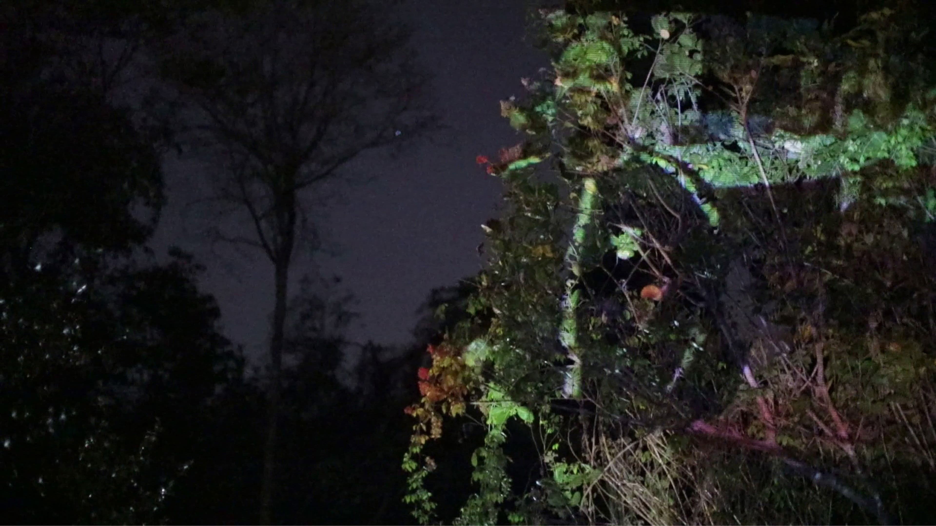 what remains of image in me