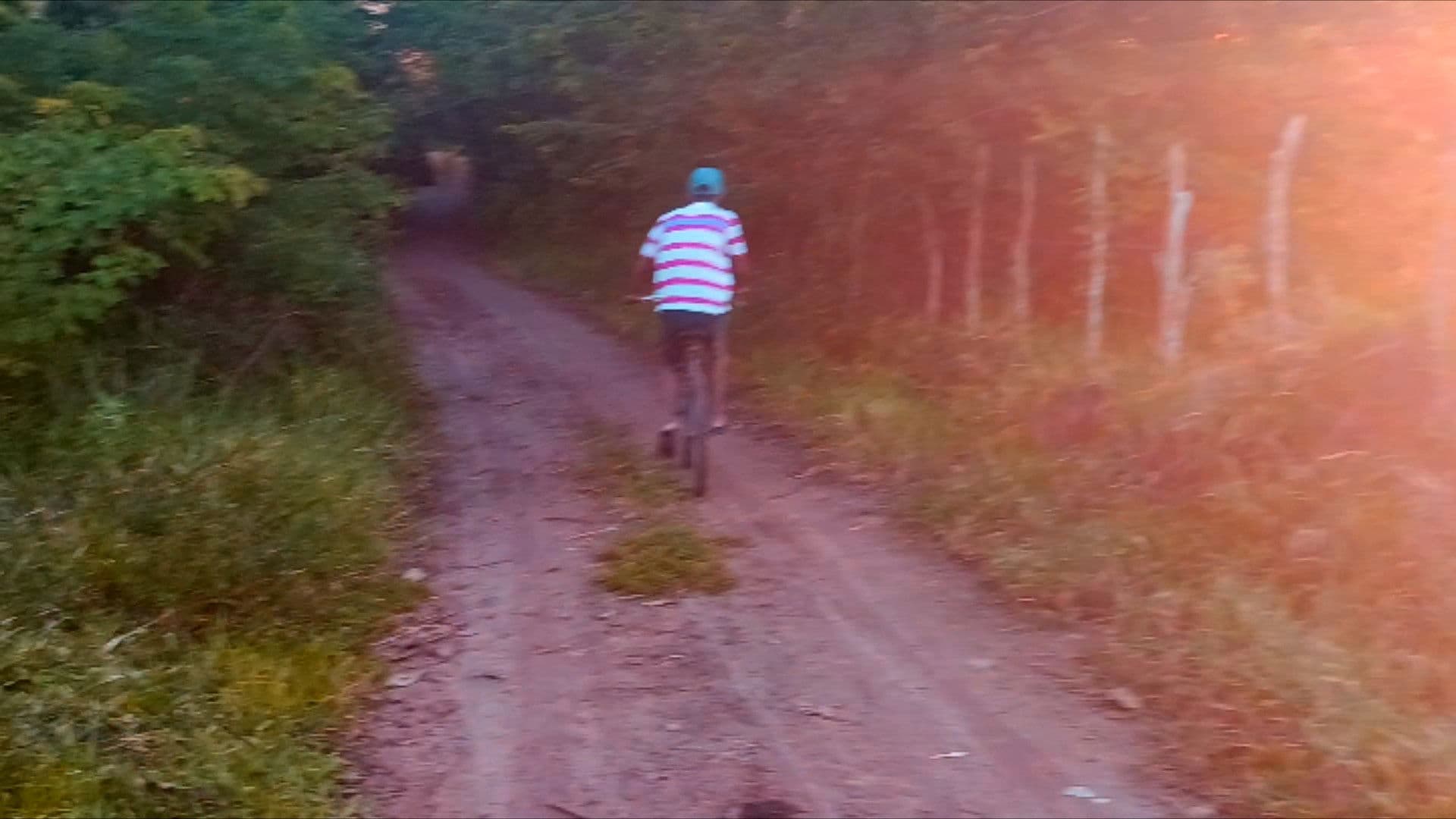 Me Dê Sua Mão, Iremos Para Floresta