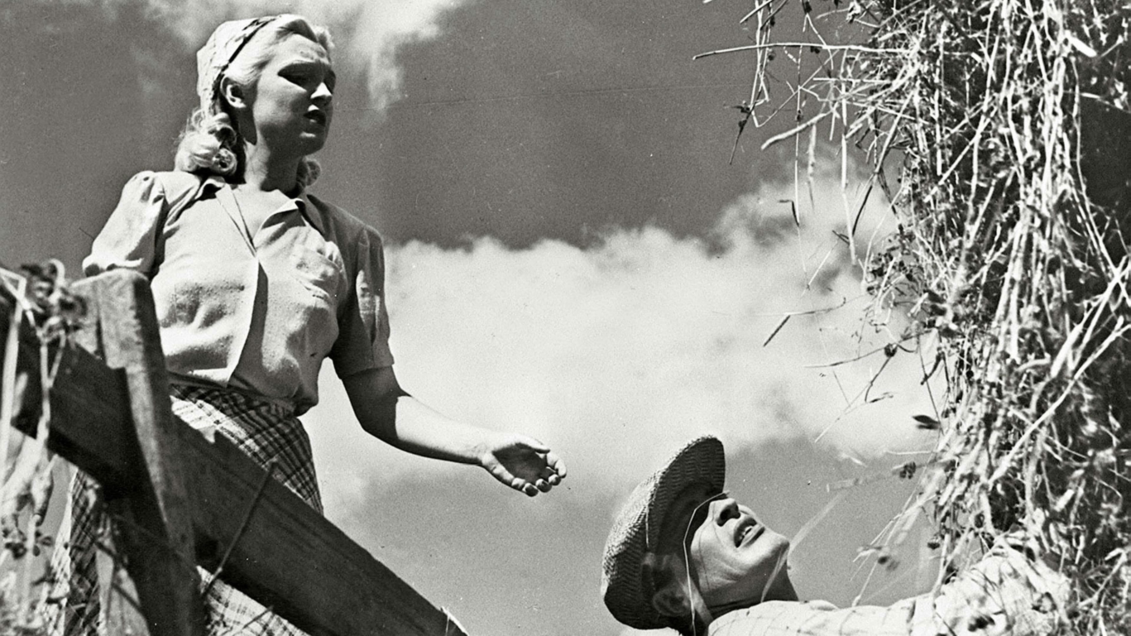 Oi, kallis Suomenmaa