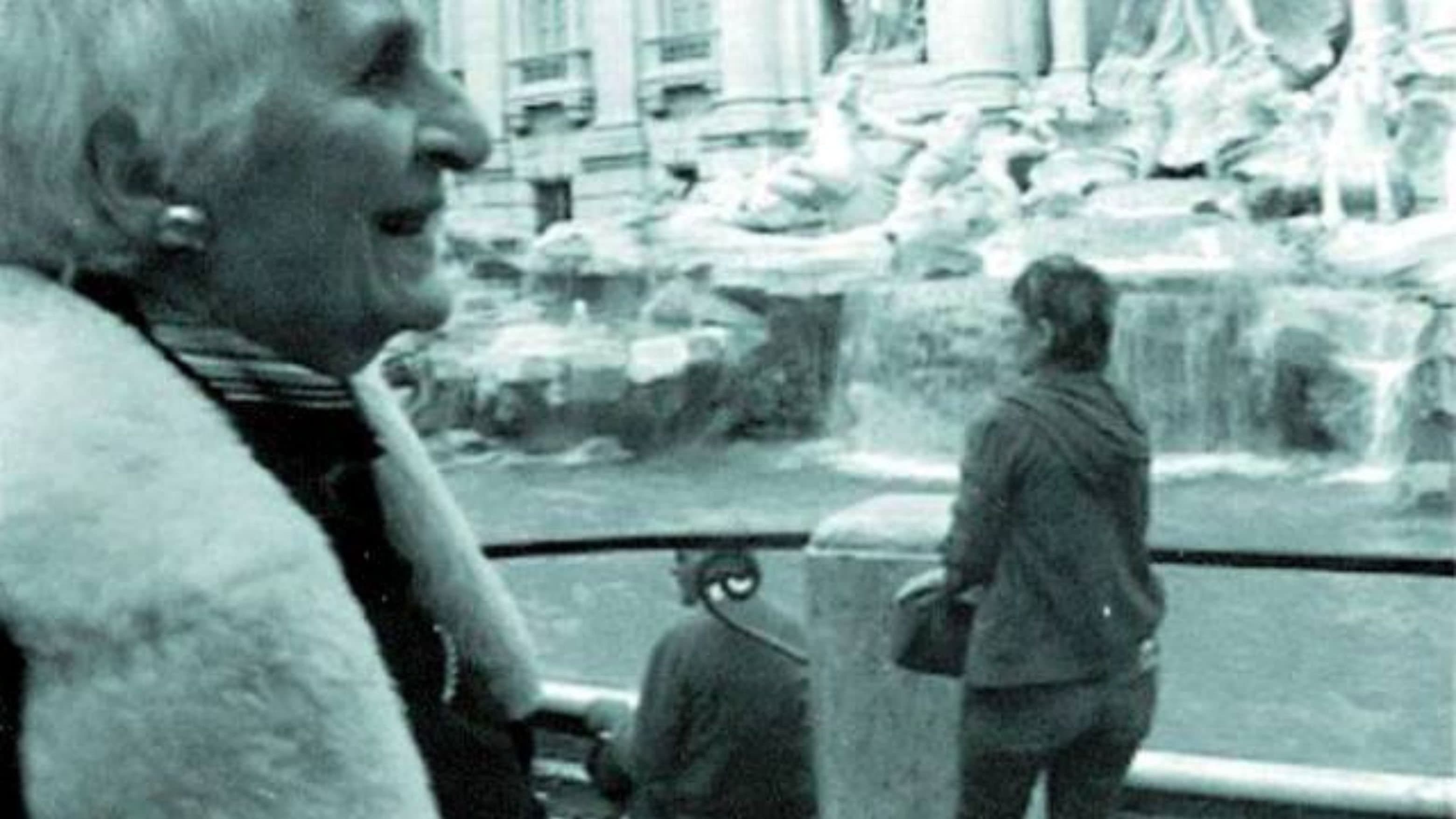 THE INTERPRETER OF BLACK AND WHITE FILMS