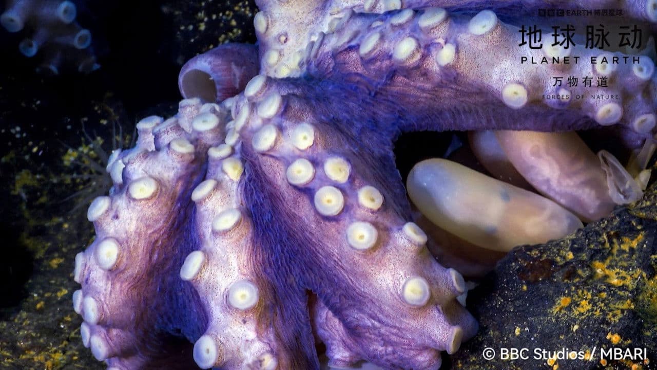 Planet Earth: Forces of Nature