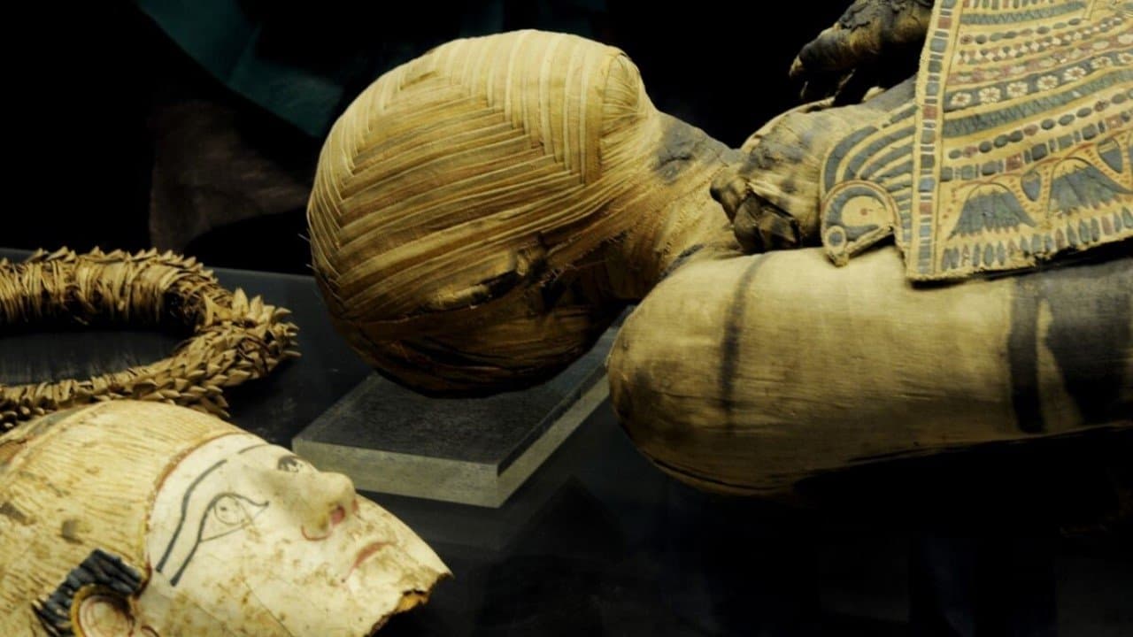 Momies d'Egypte, en quête d'immortalité
