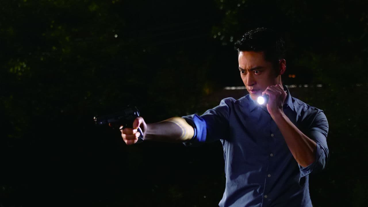 Chasing Mystery Crime