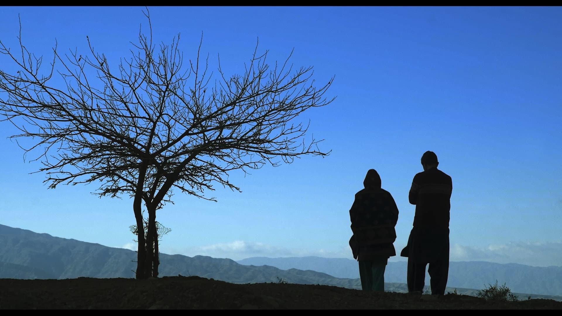 A Crack in the Light