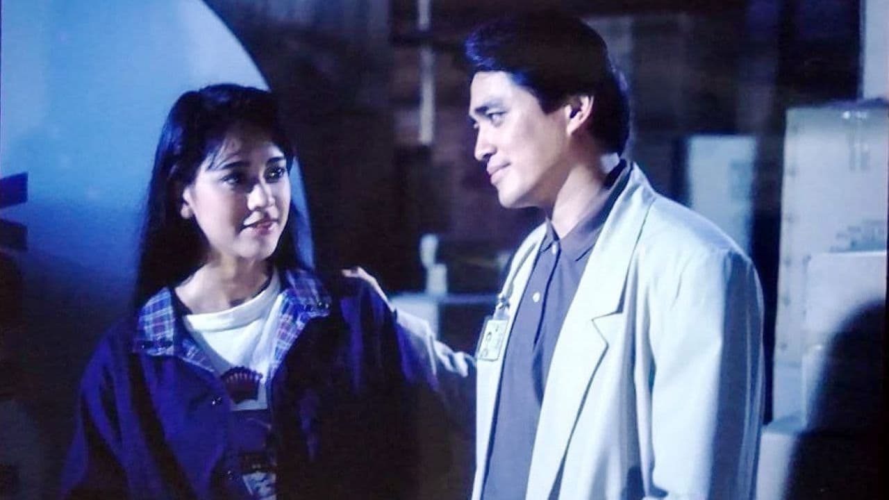 Net of Heaven Action